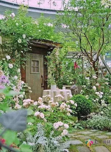 自家的私家花園的養(yǎng)護(hù)管理呢？彩木園林給支個(gè)招！