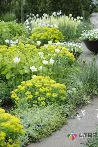 花園設(shè)計(jì)改造,手把手教你打造最美花園