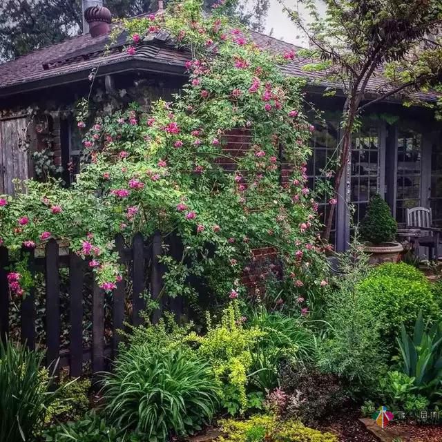 別讓花園空著，彩木園林給您打造一個花園式庭院