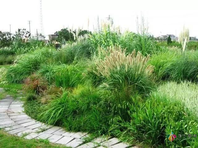 重慶72種常見私家花園綠化植物有哪些？