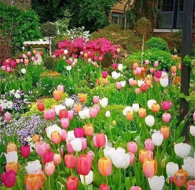 這樣子的庭院花園施工維護，花鏡美的不要不要的！
