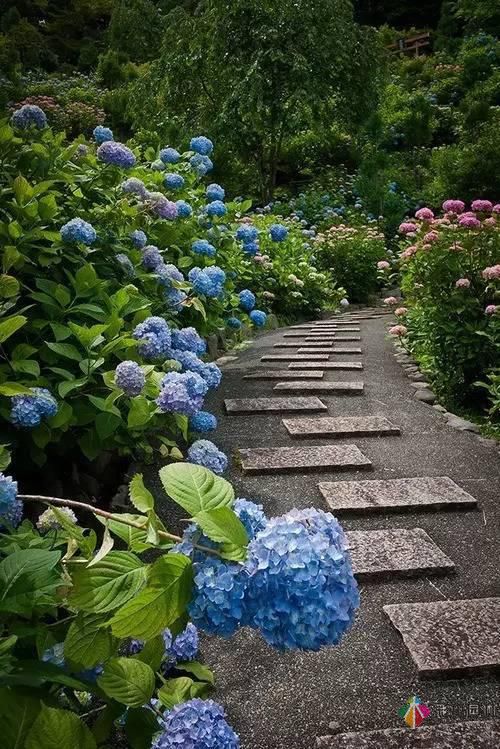 這樣子的庭院花園施工維護，花鏡美的不要不要的！