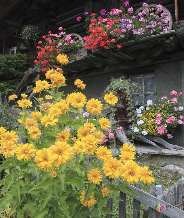 這樣子的庭院花園施工維護，花鏡美的不要不要的！
