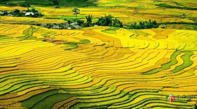 鄉(xiāng)村景觀設(shè)計有哪三大要點(diǎn)？
