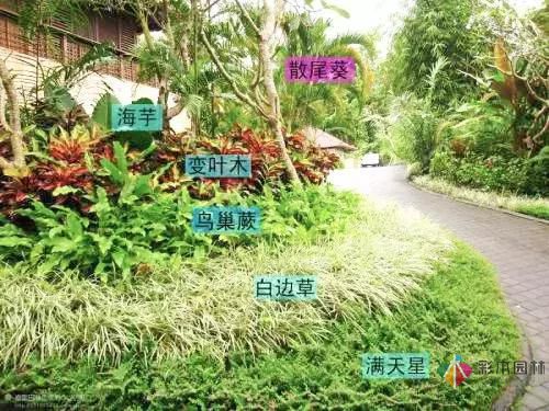 今后居住區景觀設計的發展趨勢如何？