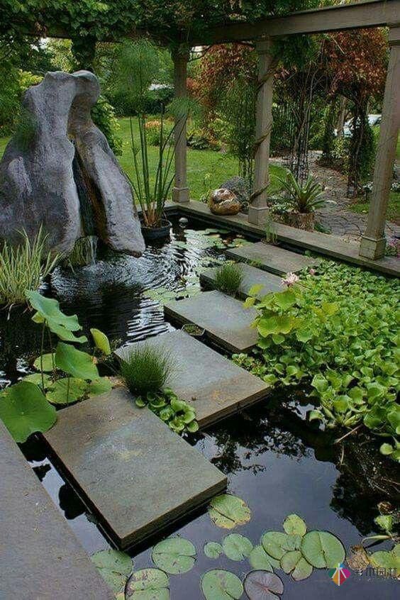 在私家花園庭院設計有一個魚塘荷花池，整個庭院都活了