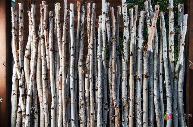 買頂樓也能實現(xiàn)你擁有私家花園的夢想