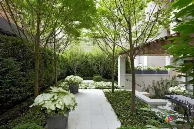 把握花園設計要素，建造實用私家花園
