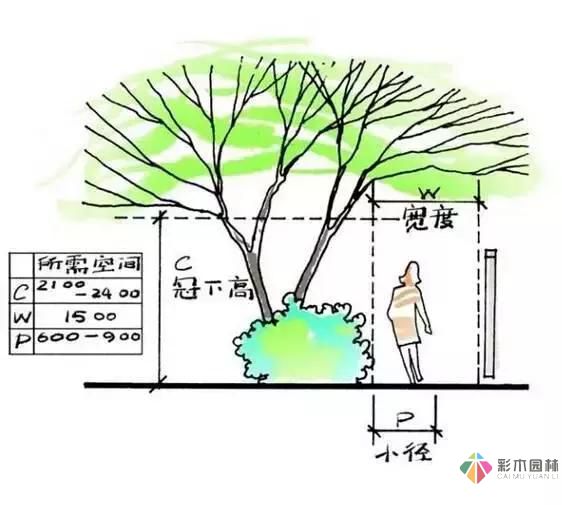 把握花園設計要素，建造實用私家花園