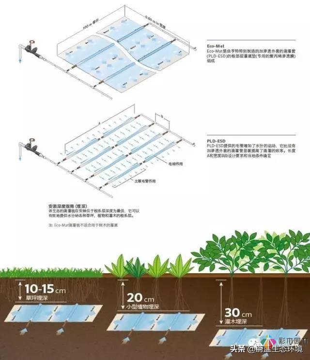屋頂花園設(shè)計(jì)規(guī)范及植物配置！值得珍藏