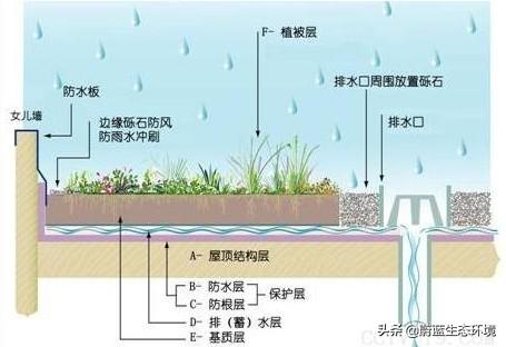 屋頂花園設(shè)計(jì)規(guī)范及植物配置！值得珍藏