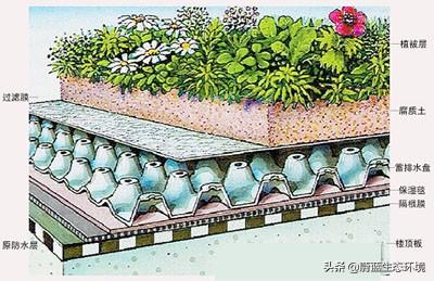 屋頂花園設(shè)計(jì)規(guī)范及植物配置！值得珍藏