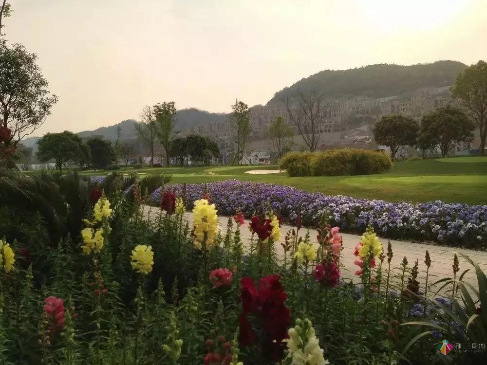 彩木園林花境園藝太漂亮，我也想弄一個！