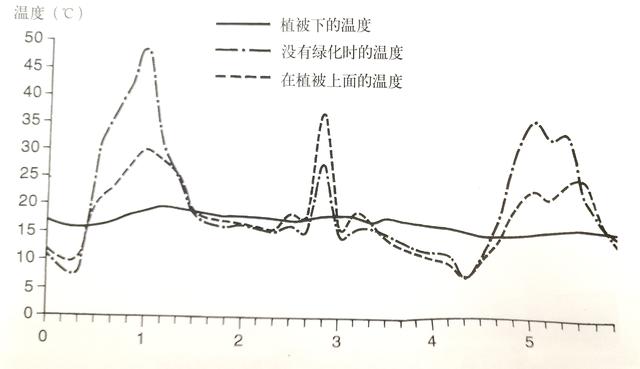 屋頂花園設計不光是好看，更有這些你不知道！