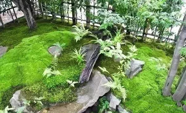 花園設計，苔造園也是一道美景！