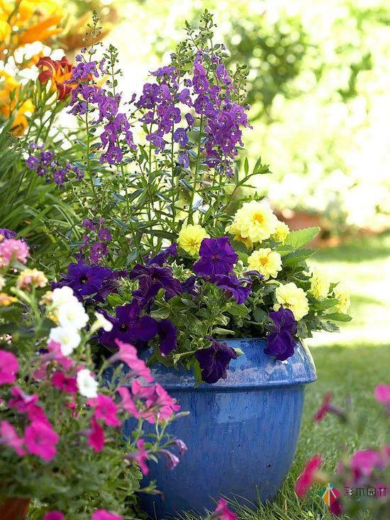 九種花園設計配色技巧，叫你設計出漂亮的花園！