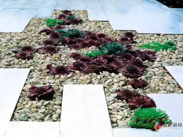 天然石材在花園設(shè)計里起到至關(guān)重要的元素!