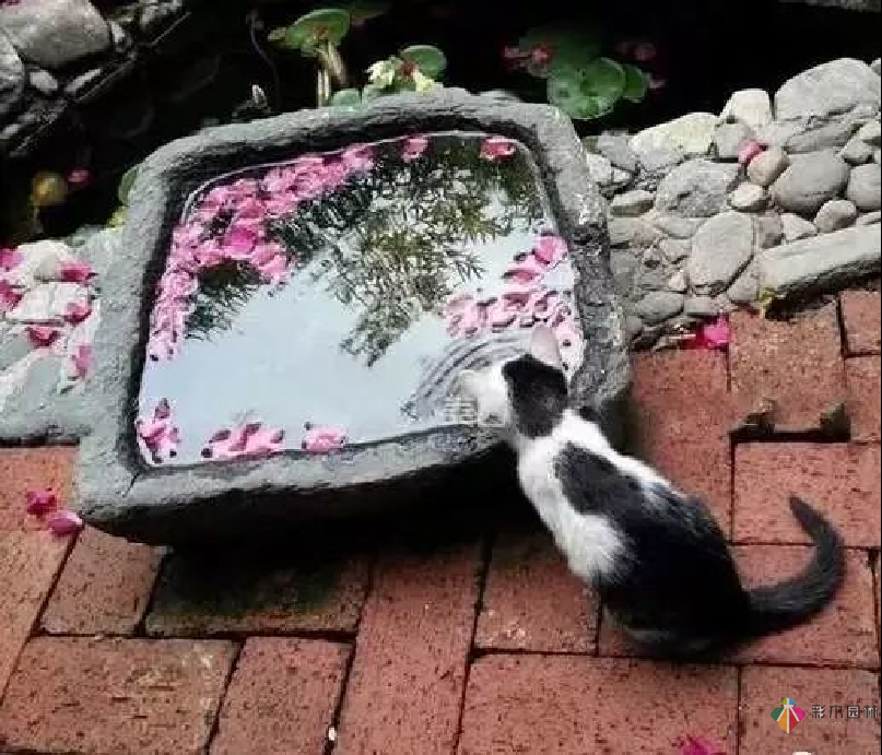 花園設計中的老石器應用,妙到了極點