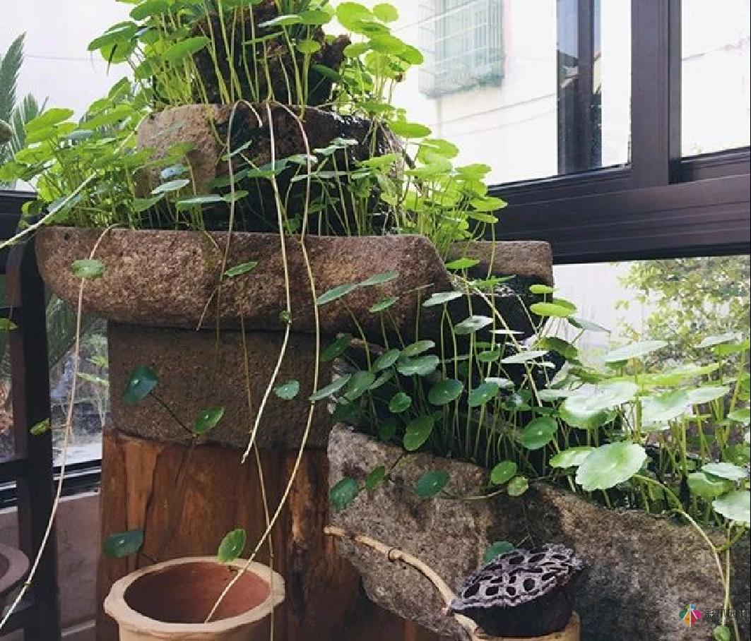 花園設計中的老石器應用,妙到了極點