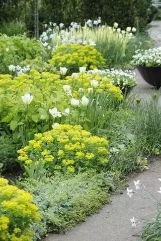 庭院設計之花園改造設計，五種方法手把手教你打造最美花