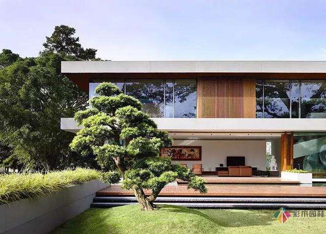 在庭院設計中該如何做“障景”？