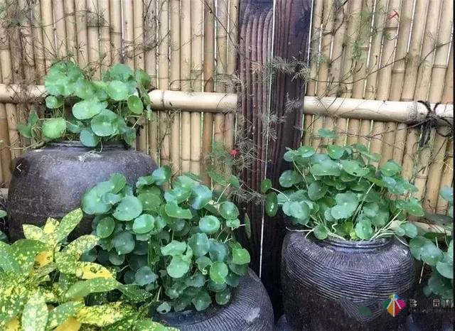 庭園設計|質樸的自然田園風,民宿庭園設計的要素