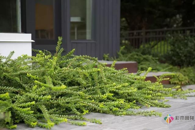 花園如何設計最省錢?快來看看吧!