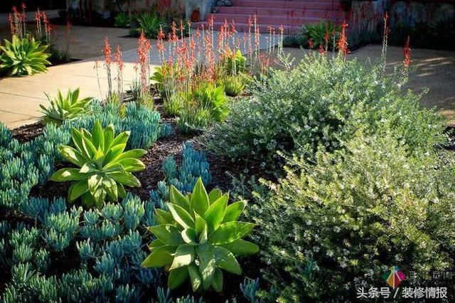 花園如何設計最省錢？快來看看吧！