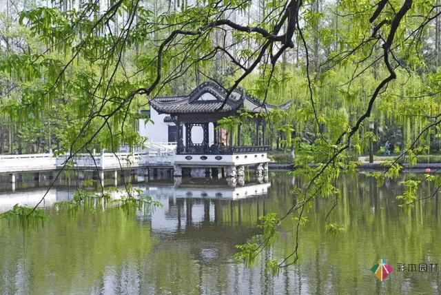 23個園林景觀設計小秘訣，看完漲姿勢！