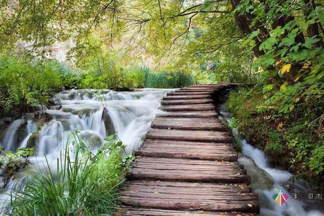 23個園林景觀設計小秘訣，看完漲姿勢！