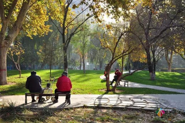 23個園林景觀設計小秘訣，看完漲姿勢！