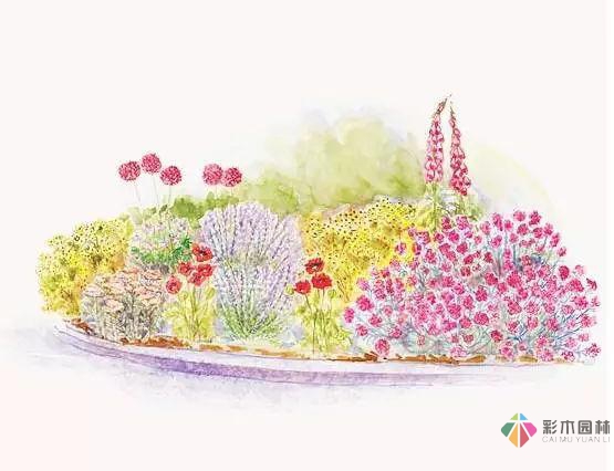 庭院花境園藝設(shè)計(jì)和植物搭配需要哪些要求？