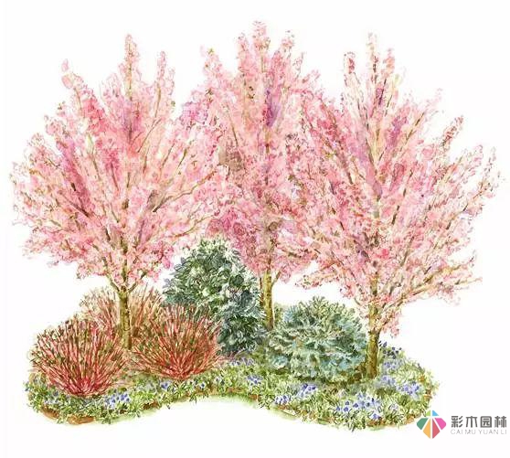 庭院花境園藝設(shè)計(jì)和植物搭配需要哪些要求？