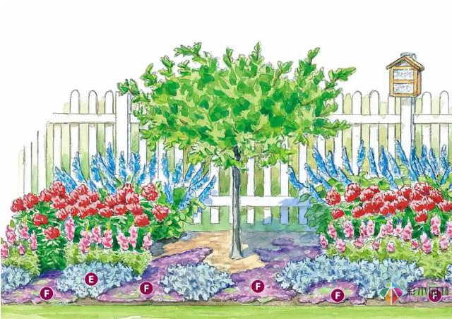 庭院花境園藝設(shè)計(jì)和植物搭配需要哪些要求？