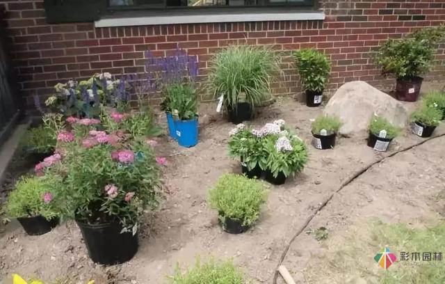 庭院花境園藝設(shè)計(jì)和植物搭配需要哪些要求？