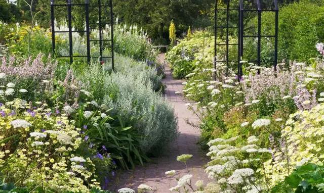 庭院花境園藝設(shè)計(jì)和植物搭配需要哪些要求？