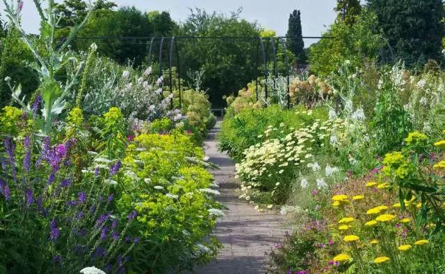 庭院花境園藝設(shè)計(jì)和植物搭配需要哪些要求？