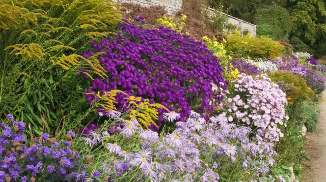 庭院花境園藝設(shè)計(jì)和植物搭配需要哪些要求？