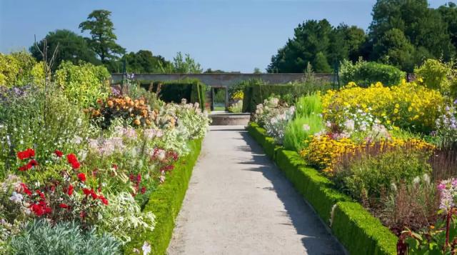 庭院花境園藝設(shè)計(jì)和植物搭配需要哪些要求？