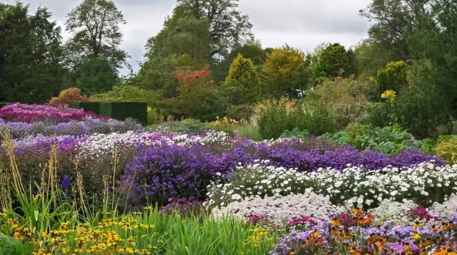 庭院花境園藝設(shè)計(jì)和植物搭配需要哪些要求？