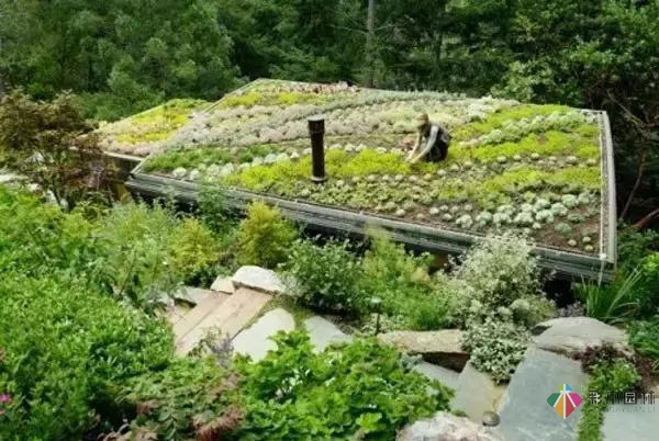 屋頂花園設計原則與規范，做屋頂花園設計的必看！