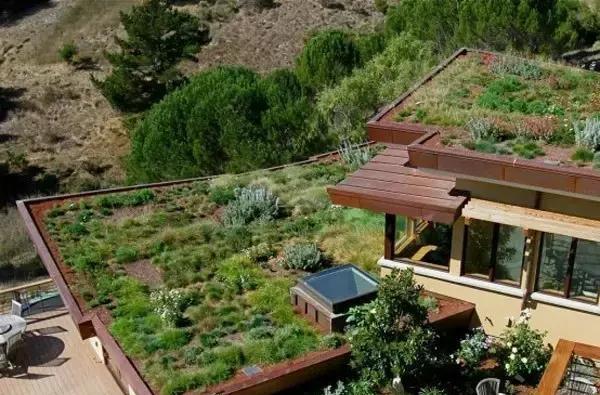 屋頂花園設計原則與規范，做屋頂花園設計的必看！