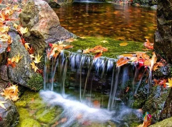 庭院花園設(shè)計(jì)怎么少的了水景？