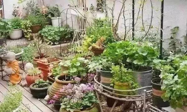 百搭的私家花園設(shè)計(jì)風(fēng)格總結(jié)經(jīng)驗(yàn)營(yíng)造您的小花園
