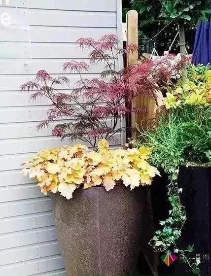 百搭的私家花園設(shè)計(jì)風(fēng)格總結(jié)經(jīng)驗(yàn)營(yíng)造您的小花園