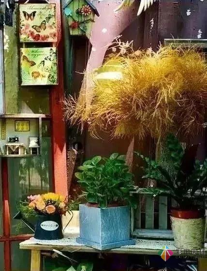 百搭的私家花園設(shè)計(jì)風(fēng)格總結(jié)經(jīng)驗(yàn)營(yíng)造您的小花園