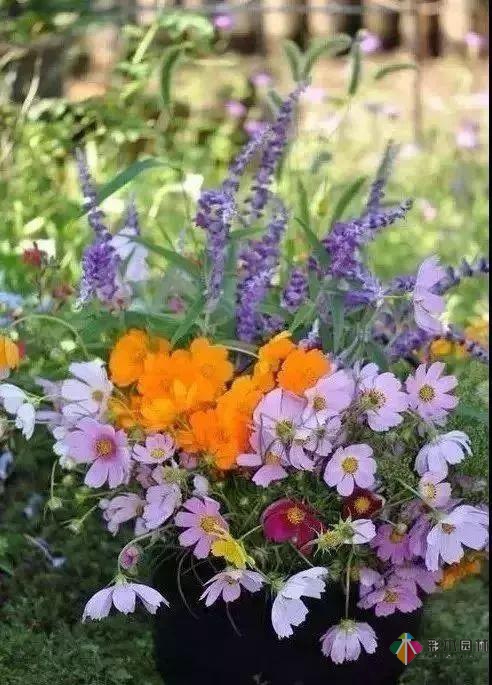 百搭的私家花園設(shè)計(jì)風(fēng)格總結(jié)經(jīng)驗(yàn)營(yíng)造您的小花園