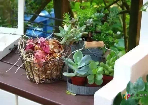 百搭的私家花園設(shè)計(jì)風(fēng)格總結(jié)經(jīng)驗(yàn)營(yíng)造您的小花園