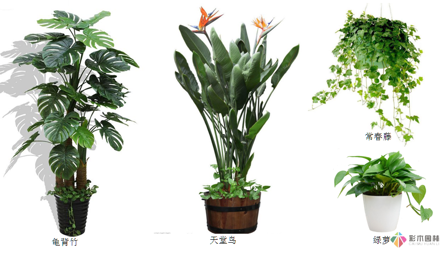 渝北網(wǎng)紅小姐姐現(xiàn)代簡約陽光房屋頂花園設(shè)計(jì)改造