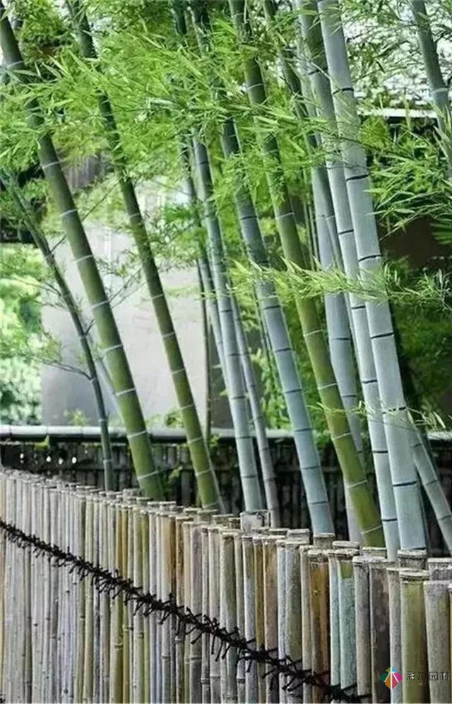 田園式花園景觀設計，這些鄉土元素必不可少